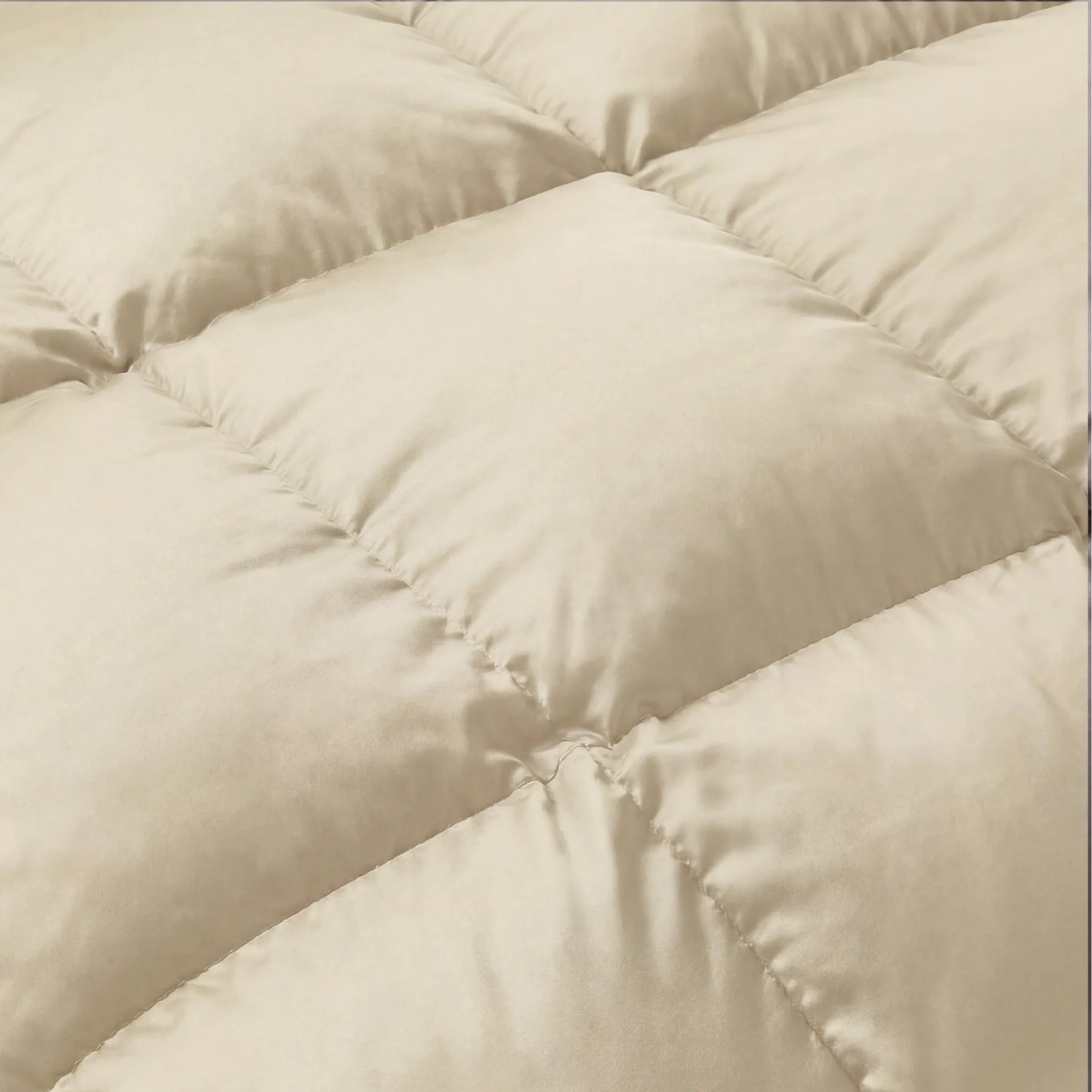 Brushed Microfiber Down Alternative Medium Weight Solid Comforter