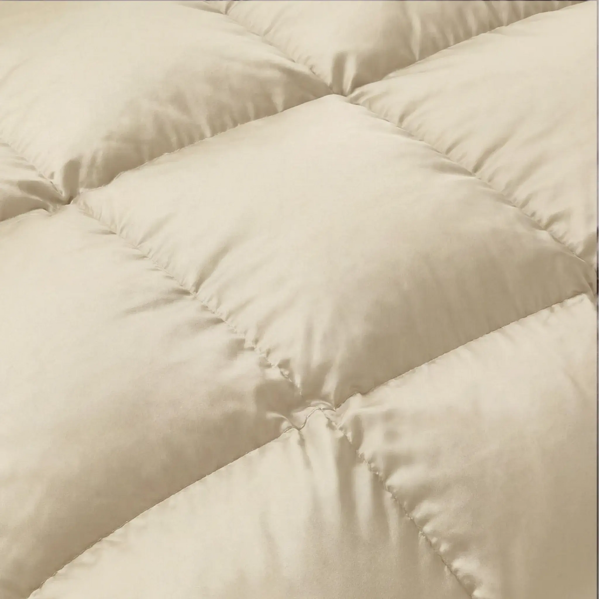 Brushed Microfiber Down Alternative Medium Weight Solid Comforter