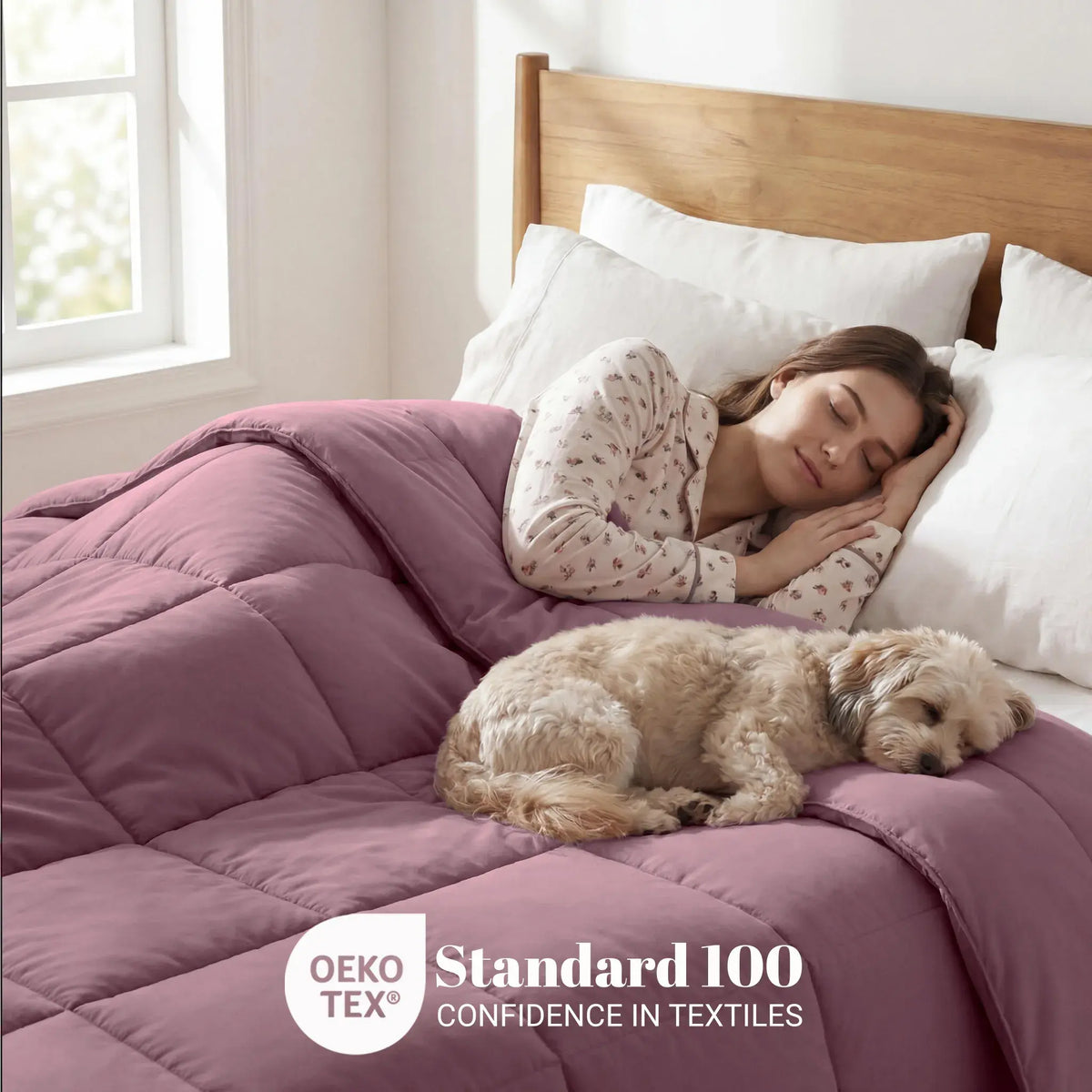 Brushed Microfiber Down Alternative Medium Weight Solid Comforter