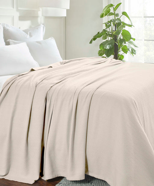 All-Season Chevron Cotton Bed Blanket & Sofa Throw - Ivory