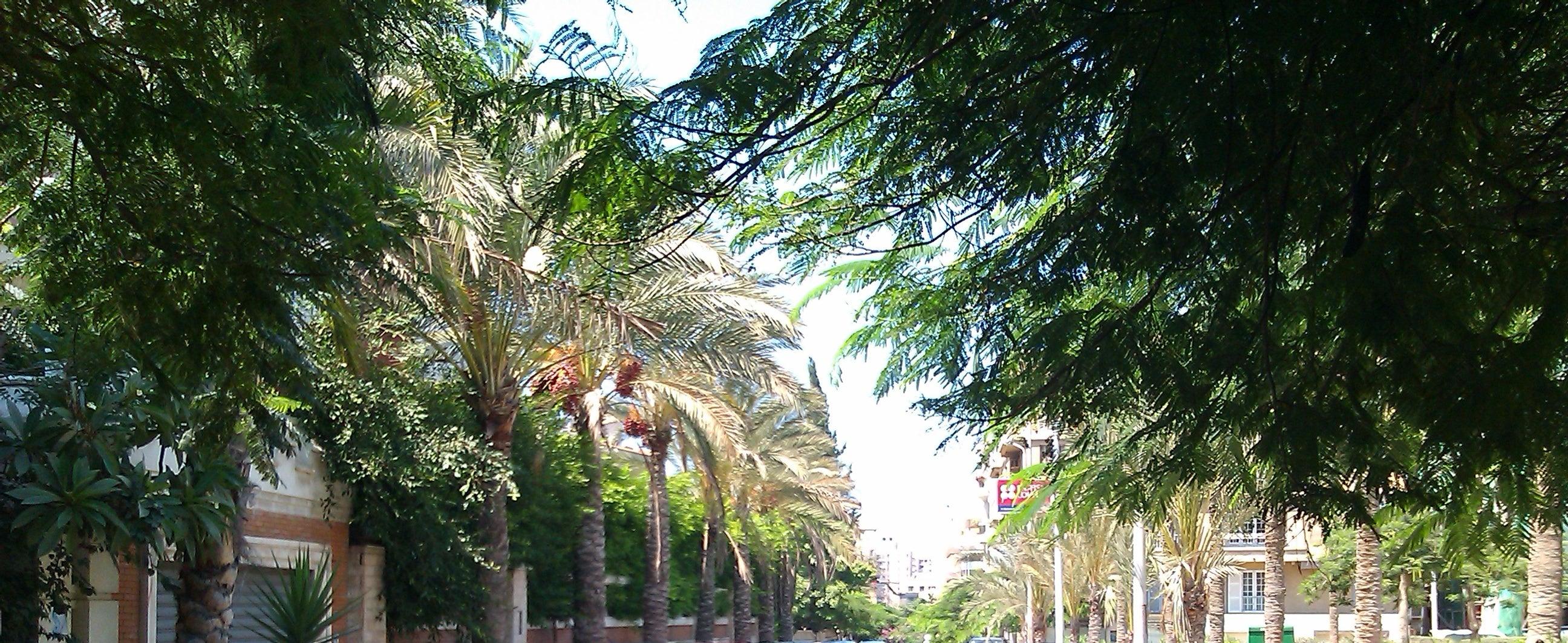 Our History, Our Mission - Blue Nile Mills