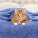 Classic Solid Fleece Plush Medium Weight Fluffy Soft Blanket - Blue