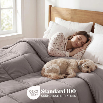 Brushed Microfiber Down Alternative Medium Weight Solid Comforter
