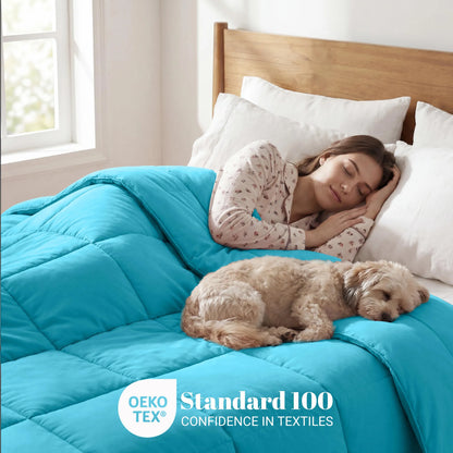 Brushed Microfiber Down Alternative Medium Weight Solid Comforter