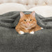 Classic Solid Fleece Plush Medium Weight Fluffy Soft Blanket - Charcoal