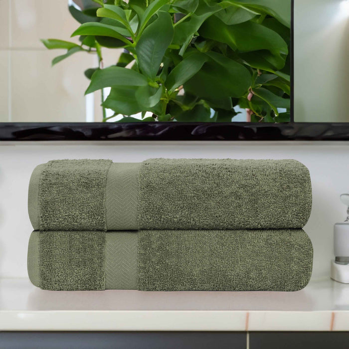 Franklin Eco-Friendly Cotton 2 Piece Bath Sheet Set