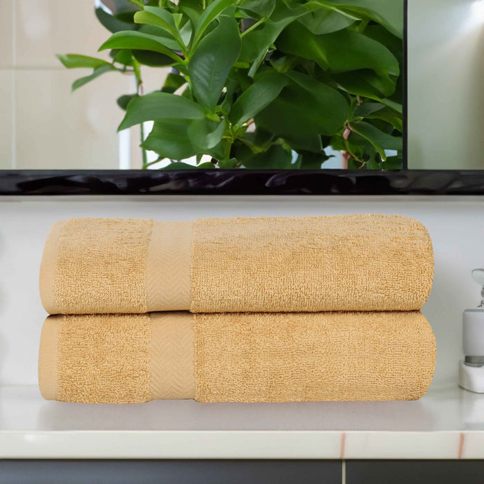 Franklin Eco-Friendly Cotton 2 Piece Bath Sheet Set