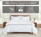 Egyptian Cotton 1200 Thread Count Embroidered Duvet Cover Set