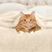 Classic Solid Fleece Plush Medium Weight Fluffy Soft Blanket - Ivory