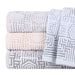 Cotton Modern Geometric Jacquard Plush Absorbent 3 Piece Towel Set