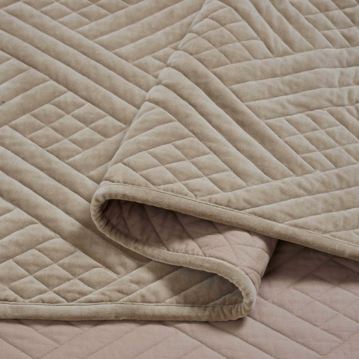 Karina Cotton Velvet Lightweight Quilt and Sham Set