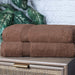 Egyptian Cotton Solid 2 Piece Bath Sheet Towel Set - Mocha