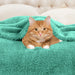 Classic Solid Fleece Plush Medium Weight Fluffy Soft Blanket - Turquoise