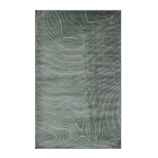 Veer Abstract Lines Indoor Area Rug - Slate