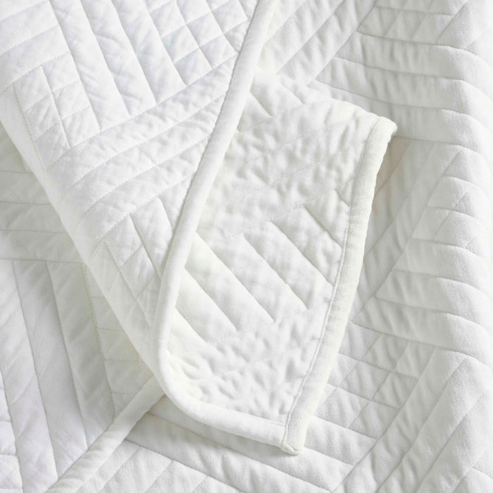 Karina Cotton Velvet Lightweight Quilt and Sham Set