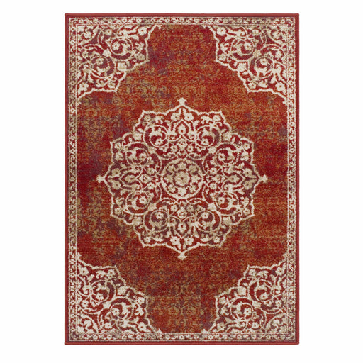 Michelangelo Oriental Traditional Oxidized Design Area Rug-Rugs-Blue Nile Mills